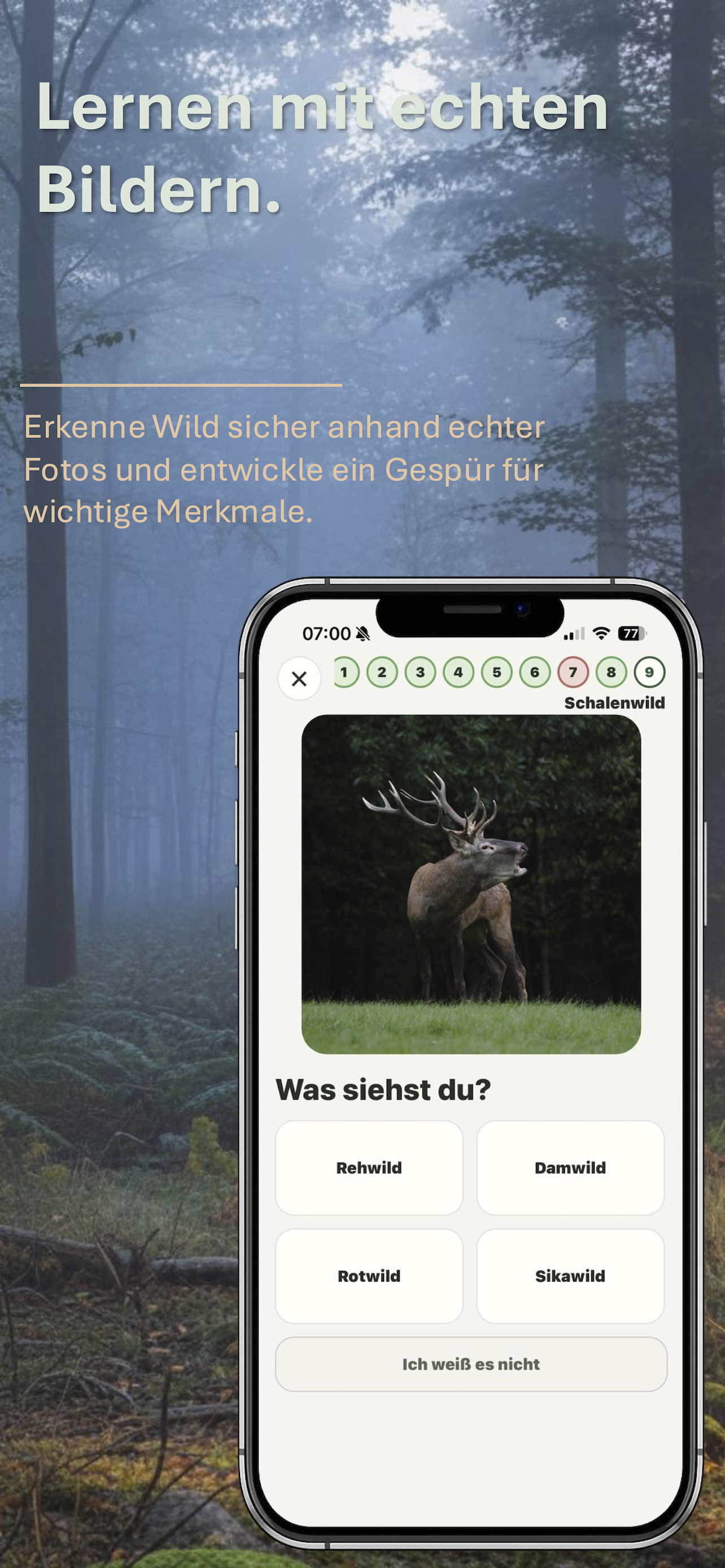 Artenkenntnis-Training in Pirschblick