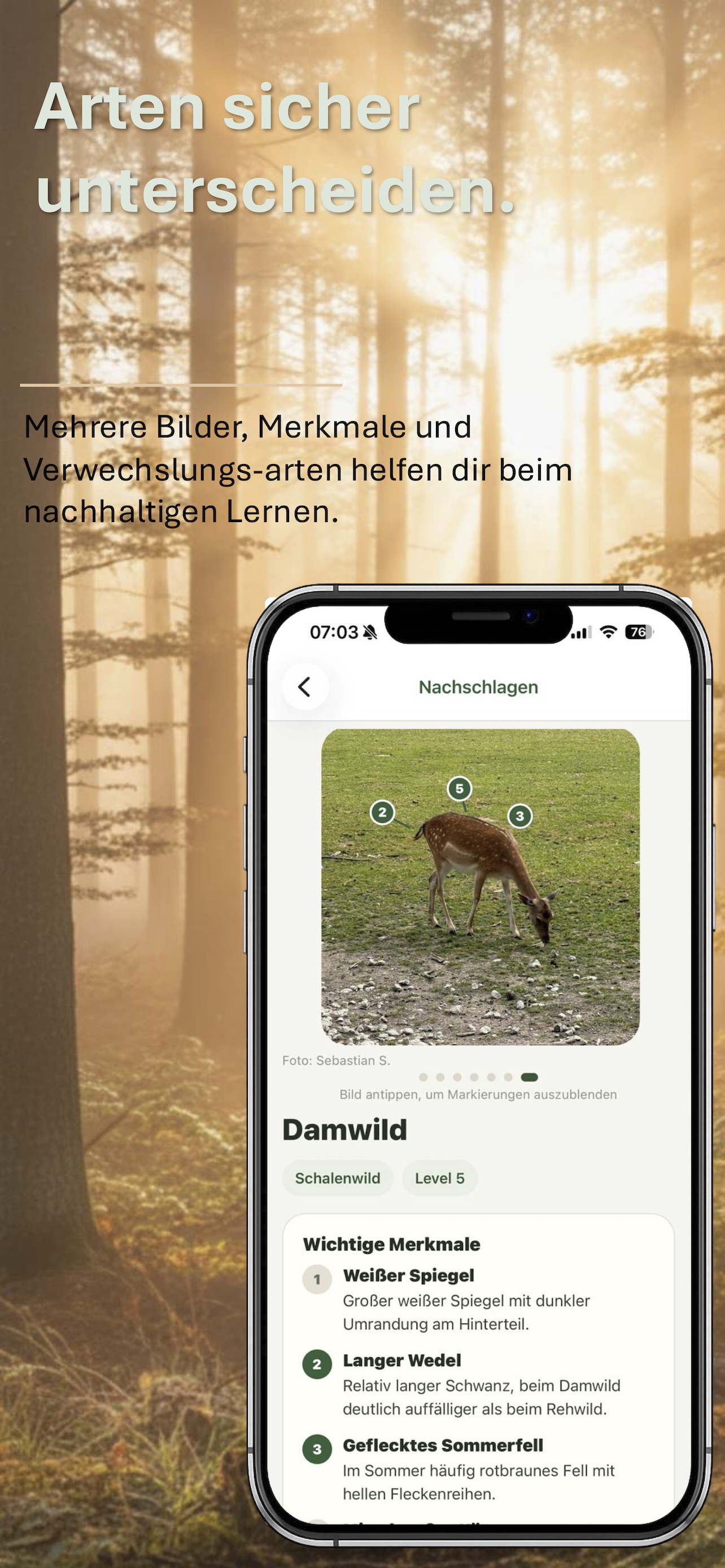 Wissensdatenbank mit Detailinformationen zu Arten